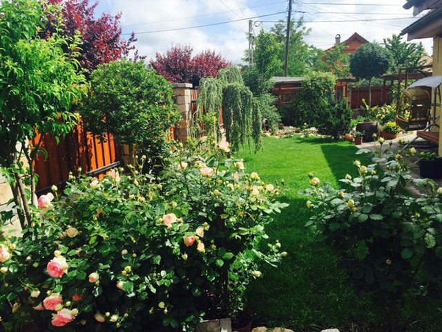  Biệt thự vườn của chị Nguyễn Phương Thảo (ở Budapest, Hungary) khiến nhiều chị em ngưỡng mộ bởi giàn hoa hồng rực rỡ đủ chủng loại. Ảnh: Kenhphunu.