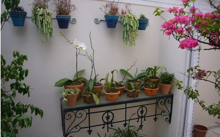 Một trong những giải pháp để sở hữu khu vườn xinh xắn trong nhà phố là tập trung nhiều chậu cây lại một chỗ.
