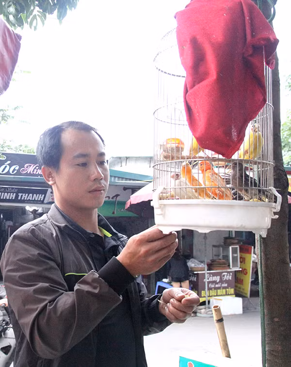 Tương tự, chợ chim Yên Phúc (phường Phúc La, quận Hà Đông) cũng trở thành điểm đến yêu thích của người buôn bán và chơi chim khắp Hà Nội. Ảnh: Kinhtedothi.