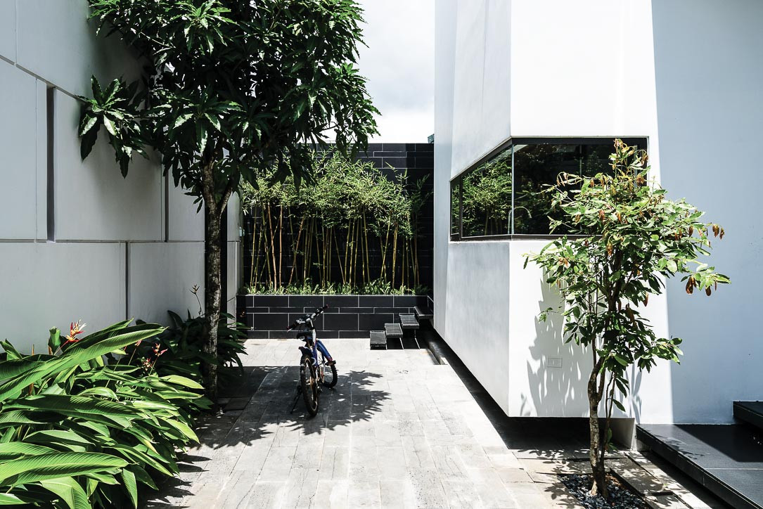 Khu vườn nhỏ kết nối không gian bên trong và bên ngoài ngôi nhà. Ảnh: Quang Trần.