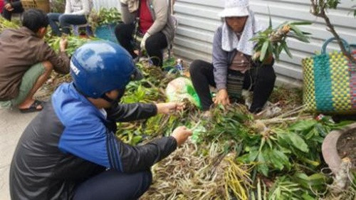 Giá lan dao động từ vài chục nghìn đến hơn 1 triệu đồng/kg, tùy theo loại. Ảnh: Danang.