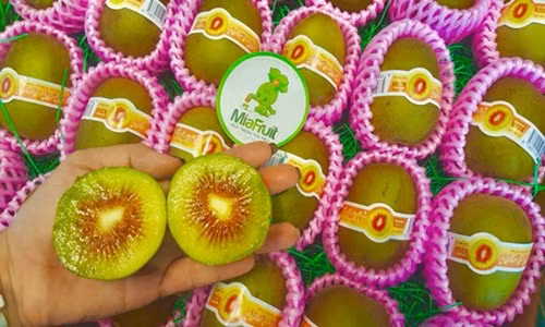 Mỗi kg kiwi Nhật Bản có khoảng 7 quả. Tính ra, mỗi quả kiwi này có giá hơn 200.000 đồng. Ảnh: FB Mia Fruit.