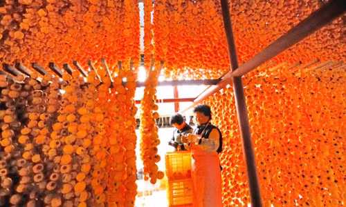 Trong trường hợp thiếu nắng, hồng được cho vào sấy. Ảnh: Kleverfruits.