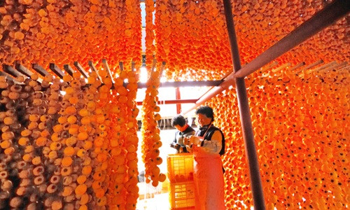 Trong trường hợp thiếu nắng, hồng được cho vào sấy. Ảnh: Kleverfruits.