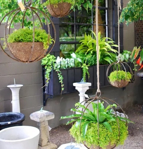 Lồng chim cũ, lan can hỏng hoặc bất cứ dụng cụ nhà bếp nào như chai thủy tinh, cốc...đều có thể trở thành chậu treo cây đẹp mắt.