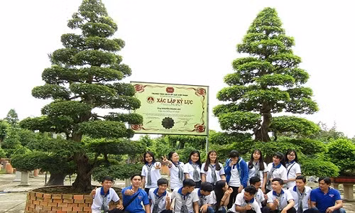 Nhiều du khách chụp ảnh lưu ảnh bên cặp me kiểng cổ