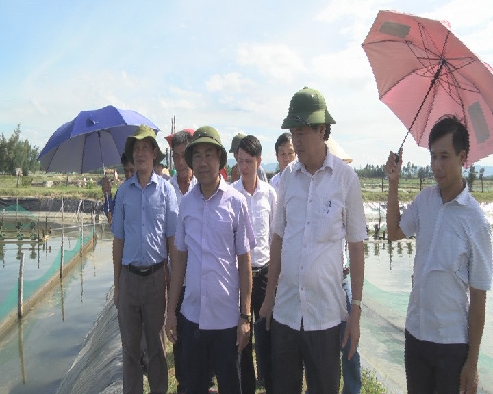 Mô hình nuôi ốc hương ở Cẩm Lĩnh thích ứng tốt với điều kiện tự nhiên trên địa bàn, cho thu hoạch trung bình đạt 15 tấn / ha, trừ chi phí thu lãi trên 1,2 tỷ đồng. Ảnh: Hatinh.gov.