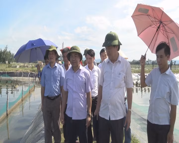 Mô hình nuôi ốc hương ở Cẩm Lĩnh thích ứng tốt với điều kiện tự nhiên trên địa bàn, cho thu hoạch trung bình đạt 15 tấn / ha, trừ chi phí thu lãi trên 1,2 tỷ đồng. Ảnh: Hatinh.gov.