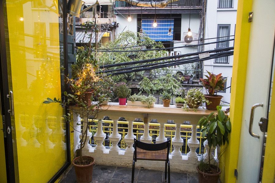 Ban công được trang trí nhiều chậu cây cảnh.