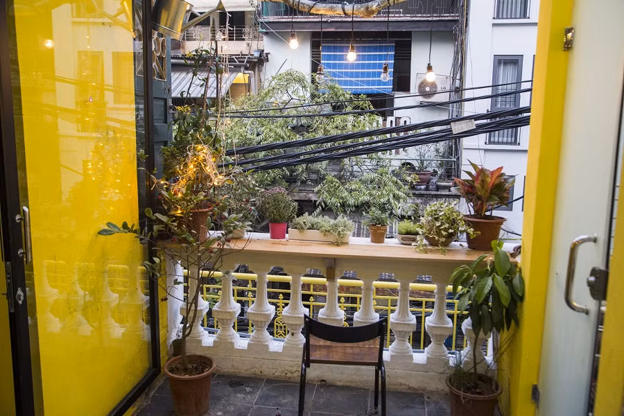 Ban công được trang trí nhiều chậu cây cảnh.