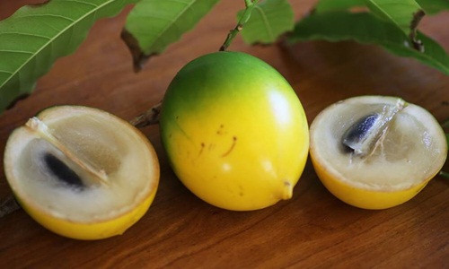 Thịt quả dày có vị ngọt thanh, khi ăn thấy mùi thơm mát. Ảnh: Facebook.