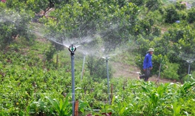 Hệ thống tưới nước sạch tự động. Ảnh: Baoanhvietnam.