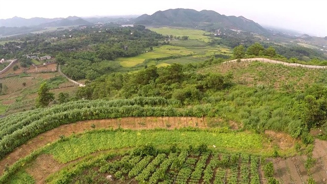 Ben trong trang trai rau huu co lon nhat Ha Noi