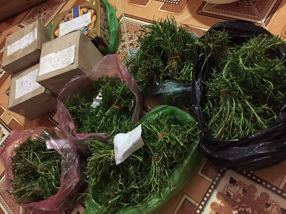 Với giá bán 40.000 đồng/kg, mỗi ngày anh Phúc lãi gần một chỉ vàng sau khi bán 60-80kg hoa mười giờ. Ảnh: Vietnamnet.