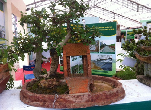 Cổng làng Mông Phụ của làng cổ Đường Lâm được nghệ nhân Ngọc Minh trong tác phẩm bonsai độc nhất vô nhị. Ảnh: Vietnamnet.