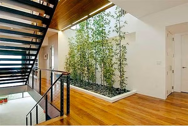 Một hàng tre cảnh cũng đủ sức mang luồng gió mới cho không gian sống tuyệt vời hơn. Ảnh: Cayxanhthudo.