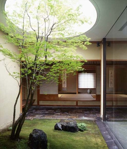 Tiểu cảnh đơn giản với cây xanh vươn cao. Ảnh: Sonar.