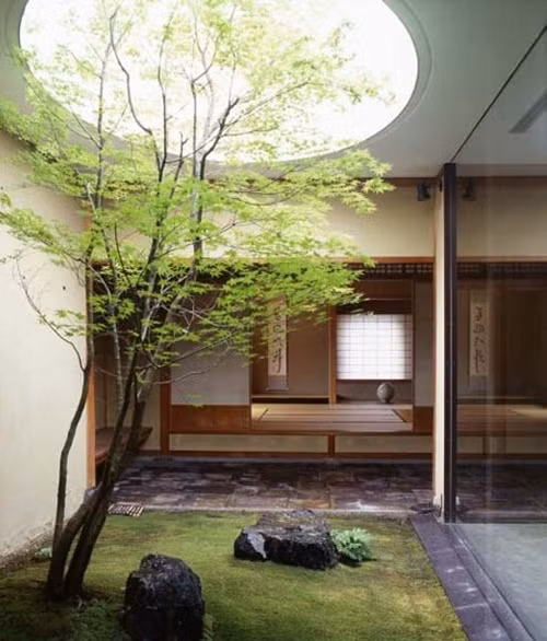 Tiểu cảnh đơn giản với cây xanh vươn cao. Ảnh: Sonar.