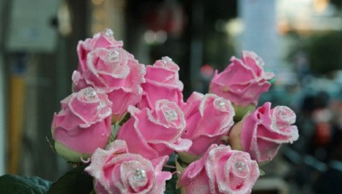 Gần đây, lần đầu tiên trên thị trường xuất hiện loại hoa hồng kim cương (Pink Diamond) thu hút đông đảo khách hàng. Ảnh: Infonet.