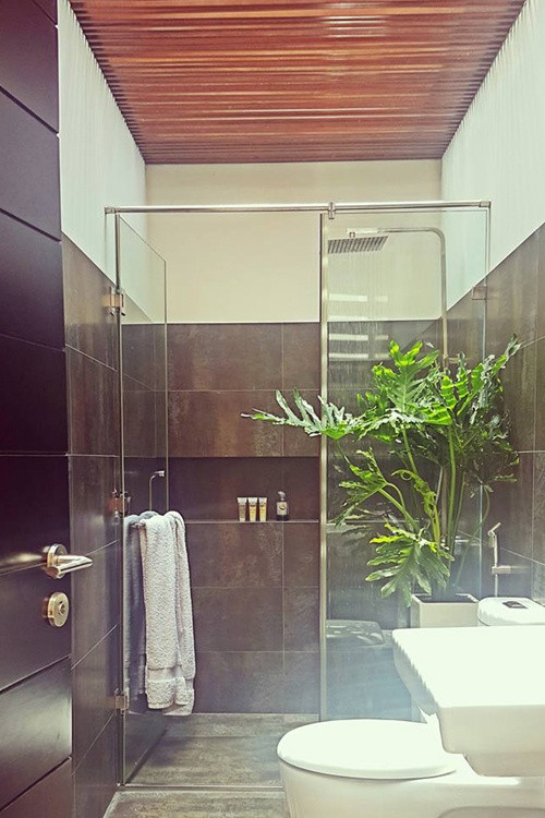 Phòng tắm đặt một chậu cây xanh nhìn rất sinh động, mát mắt. Ảnh: Giadinhxahoi.