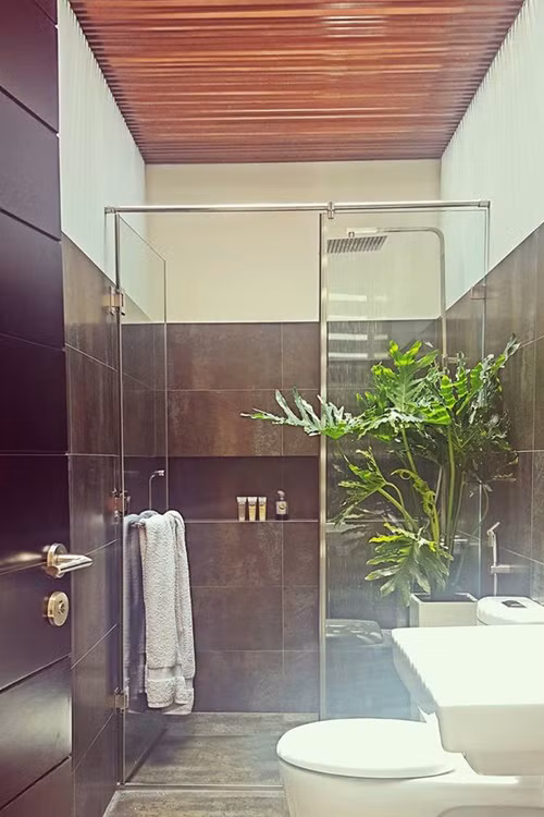 Phòng tắm đặt một chậu cây xanh nhìn rất sinh động, mát mắt. Ảnh: Giadinhxahoi.