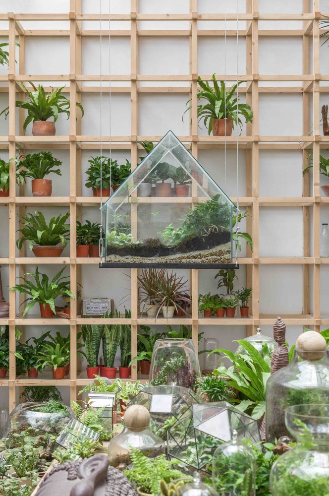 Những chậu cây nhỏ đặt trên bàn, ghế xuất hiện khắp nơi.