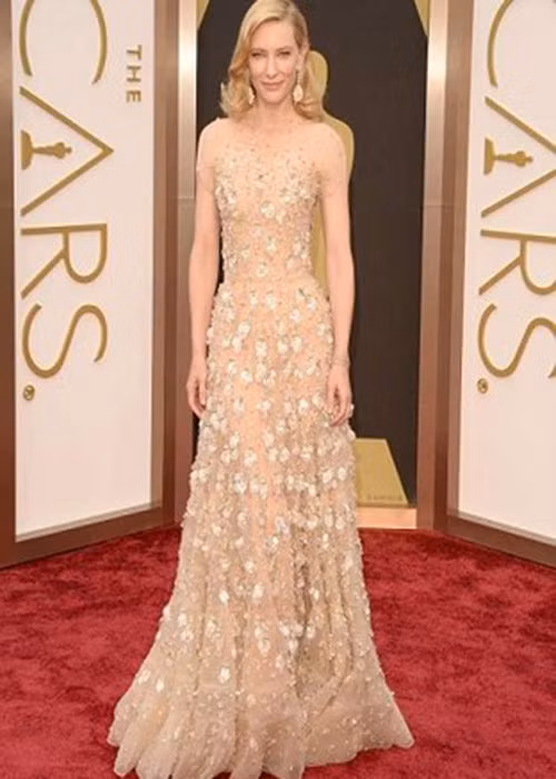 Riêng bộ đầm màu nude đính hàng trăm viên pha lê Swarovski từ thương hiệu Armani đã tiêu tốn của minh tinh Cate Blanchett 100.000 USD (khoảng 2,3 tỷ đồng) năm 2014. Nếu tính thêm trang sức và đôi giày hiệu, tổng chi phí lên đến 18,1 triệu USD (khoảng 416 tỷ đồng). '