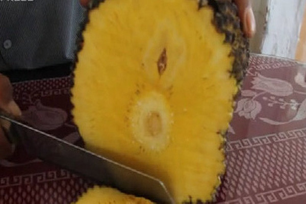 Tuy nhiên, khi bổ ra bên trong rất đặc ruột, hầu như không có hạt hoặc có cũng rất nhỏ. Ảnh: Dân Việt.