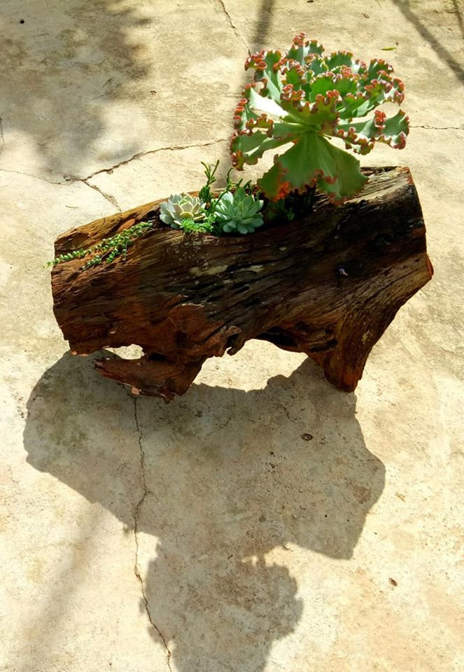 Xinh xắn và đáng yêu.