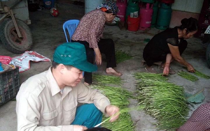 Theo anh Chung, sắp tới khi vườn phát triển ổn định, sản lượng có thể lên đến 1 tạ/ngày. Ảnh: Dân Việt. Video: Làm giàu nhờ măng tây sạch. Nguồn: VTC14.