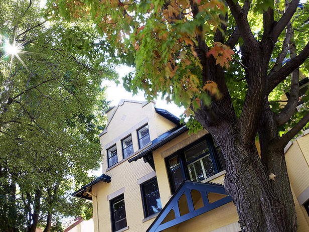  Vị trí cây không phù hợp: Nếu trồng cây cổ thụ sát tường nhà hay khu vực cửa ra vào, khi phát triển rễ sẽ lan rộng ra sát tường nhà và làm che khuất tầm nhìn của ngôi nhà. Ảnh: Greenviet.