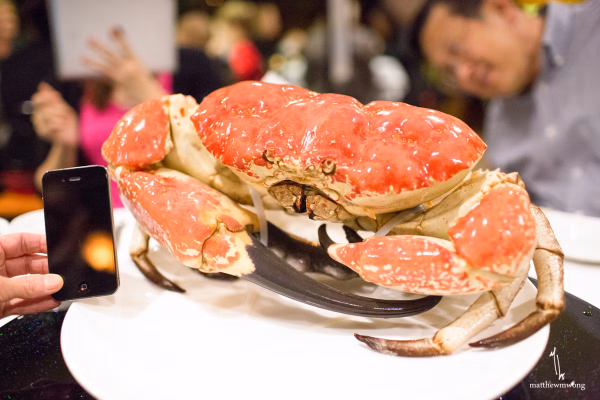 Loài cua này có thể nặng tới 13kg với chiều rộng vỏ 50cm. Ảnh: MW Eats.