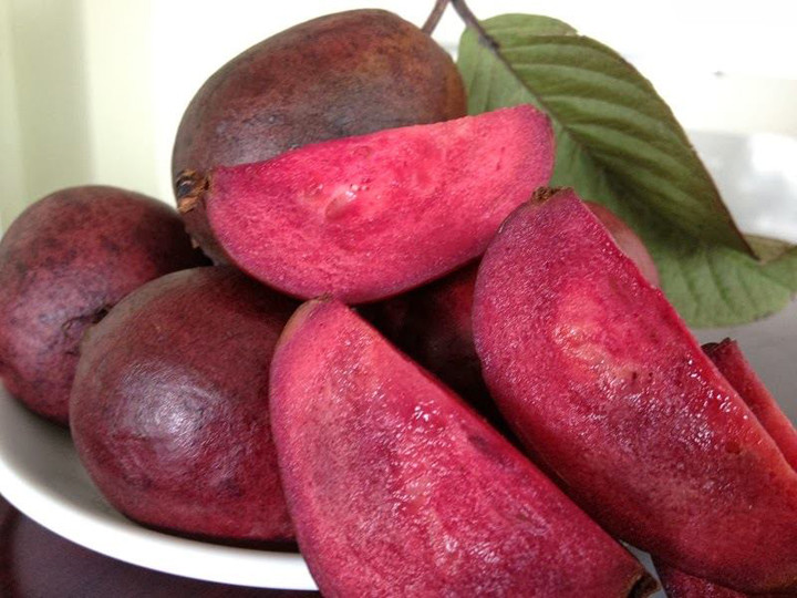 Quả ổi có vỏ màu tím, ruột màu tím, có mùi vị rất thơm đặc trưng, ruột quả không có hạt và rất mềm. Ảnh: Giongcayanqua.