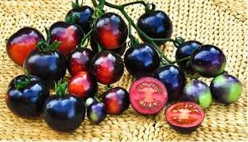 Cà chua đen được lai tạo giữa cà chua đỏ và tím. Vỏ quả màu đen, ruột màu tím đỏ, được cho là "siêu thực phẩm" giàu dinh dưỡng. Ảnh: Facebook.