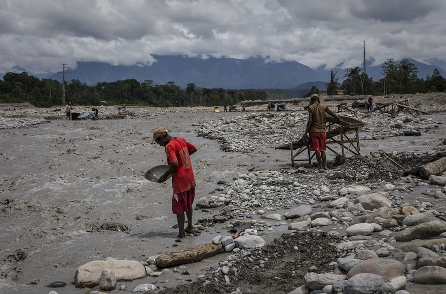 Những người thợ hì hục đãi vàng. Ảnh: Printest.