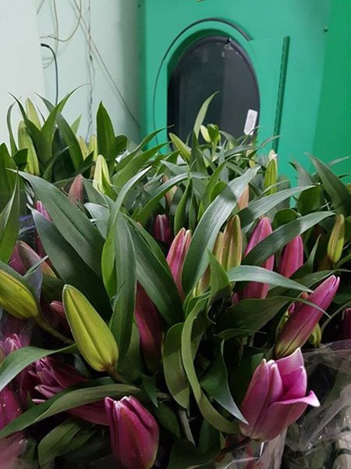 Hiện hoa hồng với đủ màu sắc đỏ, vàng, trắng...đang có giá từ 120.000 - 250.000 đồng/bó. Đặc biệt hoa ly cũng đang rất rẻ từ 70.000 - 150.000 đồng/chục...Ảnh: Facebook.