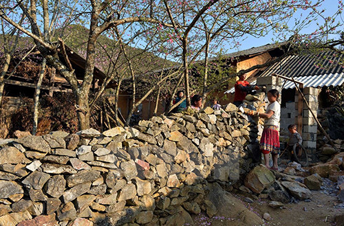 Trải qua hàng thế kỷ, người Mông trên Cao nguyên đá Đồng Văn vẫn không ngừng sáng tạo để cải tiến ngôi nhà truyền thống cho phù hợp với điều kiện tự nhiên. Ảnh: Baohagiang. Video: Nhà trình tường ở Hà Giang lên báo nước ngoài. Nguồn: VTC14.