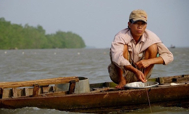 Khoảng 3h chiều hàng ngày, người dân bắt đầu nổ máy bắt đầu cho hành trình bắt cá bông lau. Ảnh: VOV.