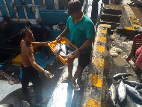 Ngày đầu năm, cảng cá Hòn Rớ (Nha Trang, tỉnh Khánh Hòa) tấp nập hàng trăm tàu cá của ngư dân. Nhiều tàu cá được “lộc biển” hàng trăm triệu đồng. Ảnh: VOV.