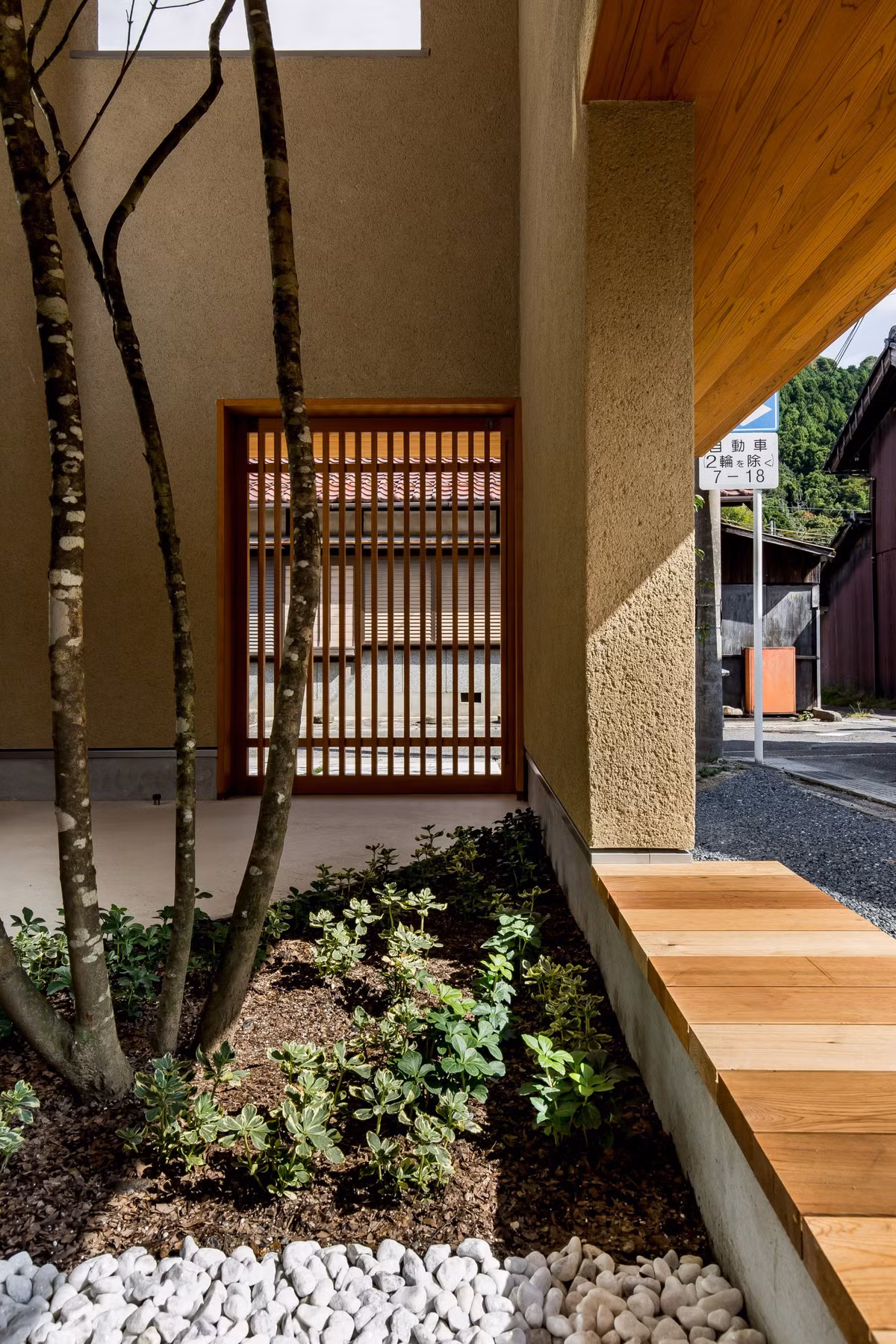 Cây xanh vươn mình lên cao đón ánh nắng ở trên mái. Khi sáng sớm, cây đón nắng ngoài hiên cửa.