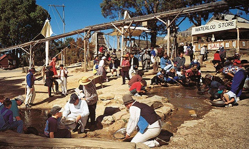 Hàng chục nghìn người đổ xô đến Ballarat với hy vọng tìm được vàng. Ảnh: AAT Kings.