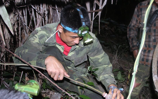 Mắm tôm là mồi nhử hiệu quả nhất đối với loài cua đá ở miền Tây Nghệ An. Ảnh: Baonghean.