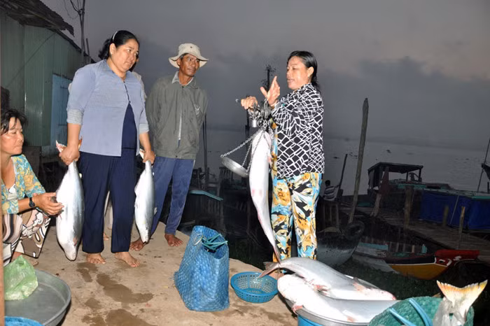 Cá bông lau được thương lái chờ mua ngay khi thuyền cập bến. Ảnh: Zing.