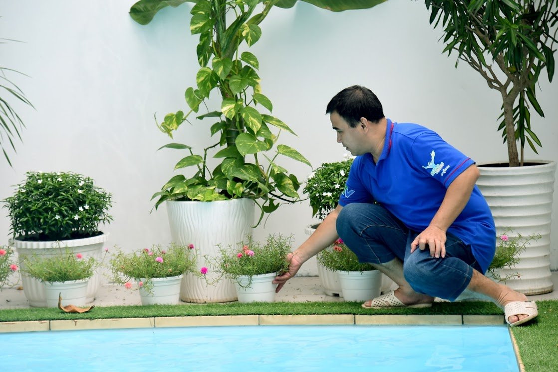 Khu vực hồ bơi bên hông nhà được bao quanh bởi cây xanh.