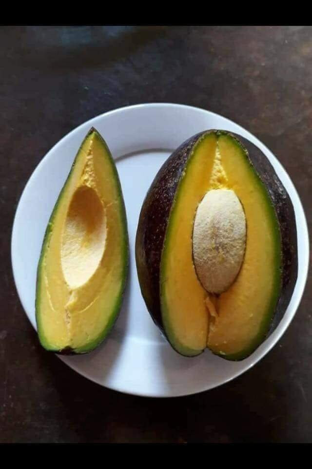 Khi đạt độ già chuẩn ánh tím là lúc bơ chín. Ảnh: FB Đặng Xuân Hồng Anh.