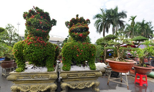 Để tạo hình độc đáo này, nghệ nhân phải mất 10 năm uốn thế, tạo kiểu. Ảnh: Zing.