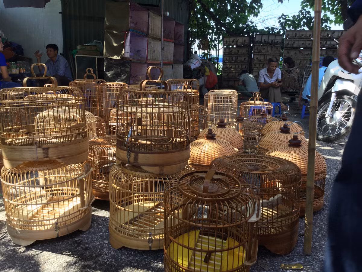 Chợ chim cảnh Đền Lừ, Hoàng Mai luôn thu hút những người có sở thích nuôi và sưu tầm chim cảnh ở Hà Nội. Ảnh: Anninhthudo.