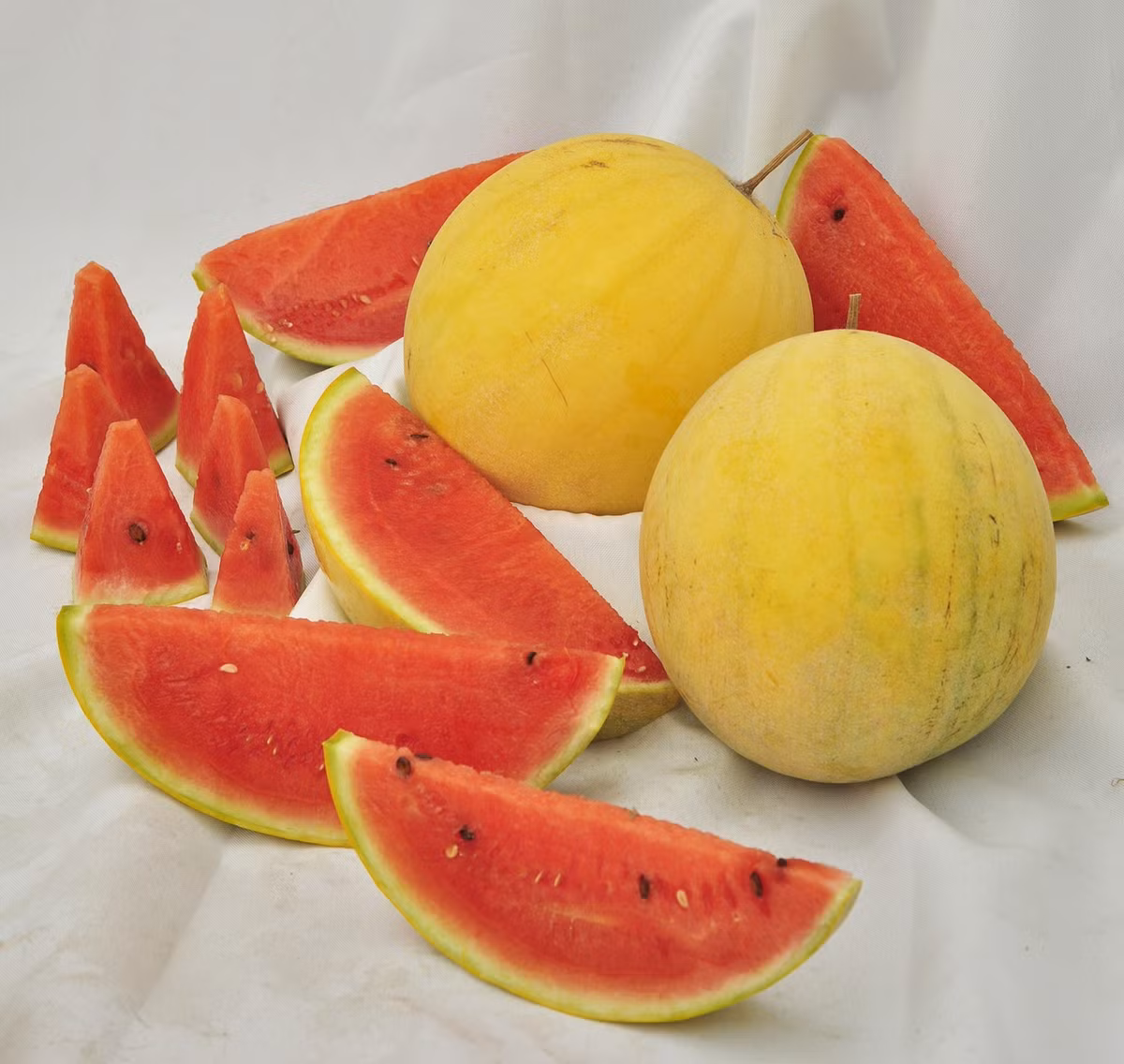 Khác với màu xanh thông thường, dưa hấu vỏ vàng ruột đỏ được nhiều người tìm mua hạt giống để trồng tại nhà. Ảnh: Vuahatgiong.