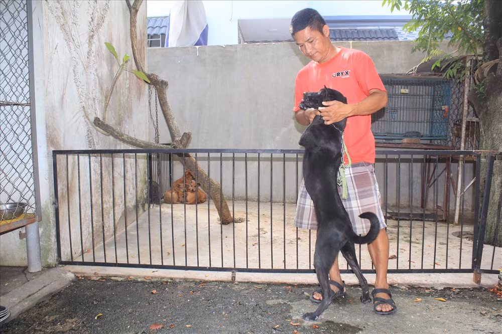 Tại TP. Biên Hòa (Đồng Nai), anh Phạm Diễm Bình nổi tiếng với 2 trại nuôi chó tại huyện Định Quán và thị xã Long Khánh. Ảnh: Laodong.