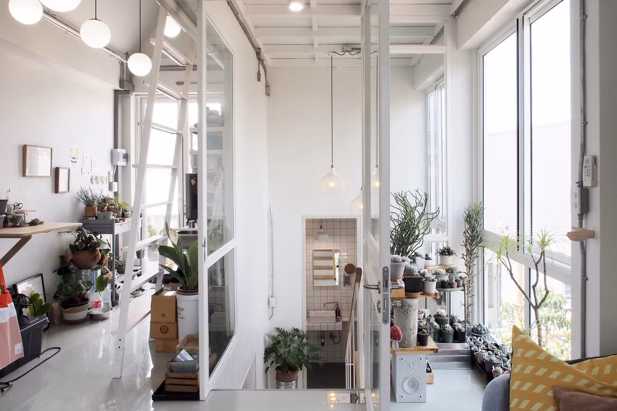 Trong nhà còn được trang trí bằng nhiều chậu cây cảnh.